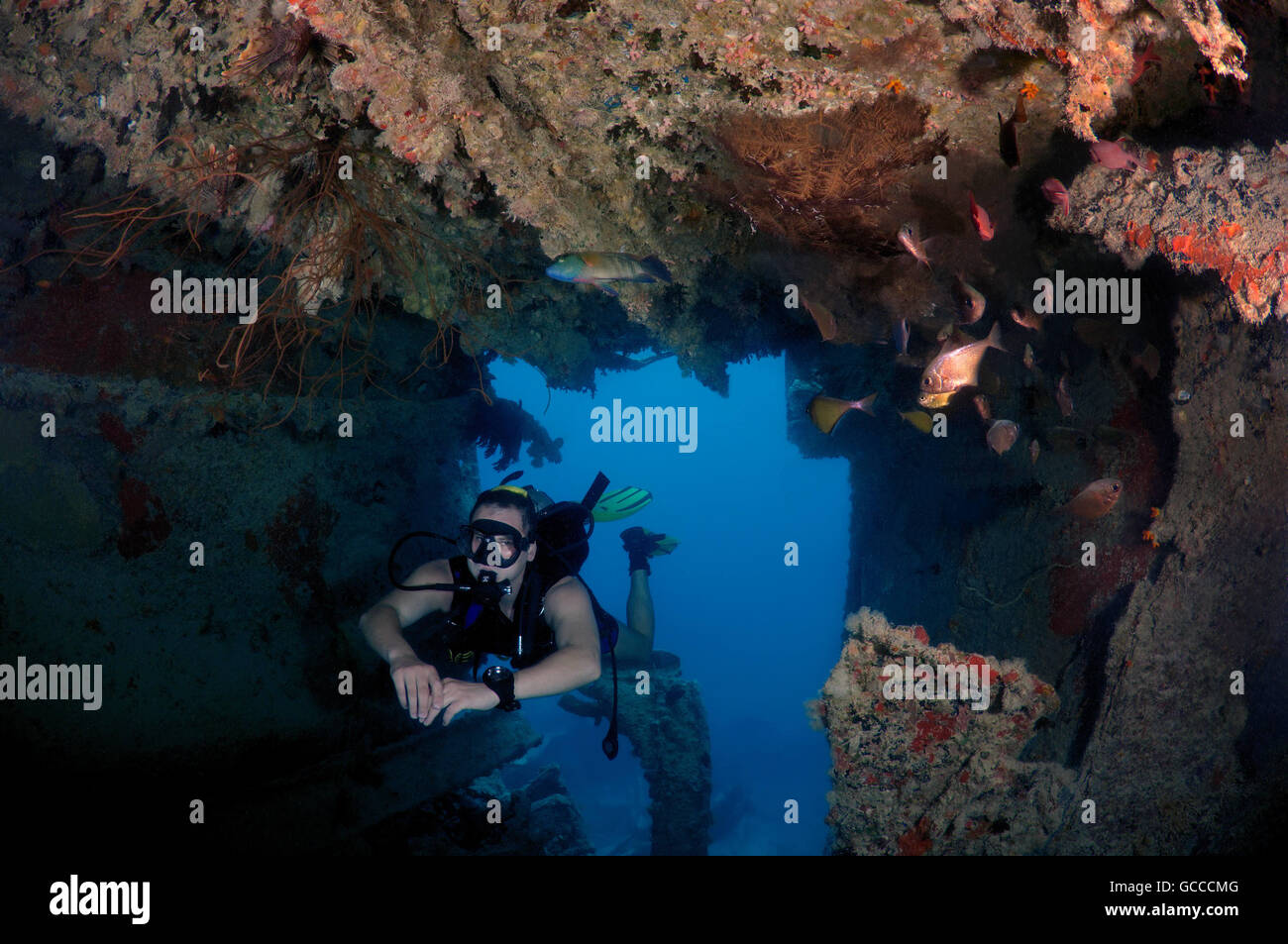 Red Sea, Egypt, Egypt. 3rd Mar, 2016. Male scuba diver at School of Copper sweeper (Pempheris schomburgkii) in inside the wreck of the SS Thistlegorm (British armed Merchant Navy ship), Red Sea, Egypt © Andrey Nekrasov/ZUMA Wire/ZUMAPRESS.com/Alamy Live News Stock Photo