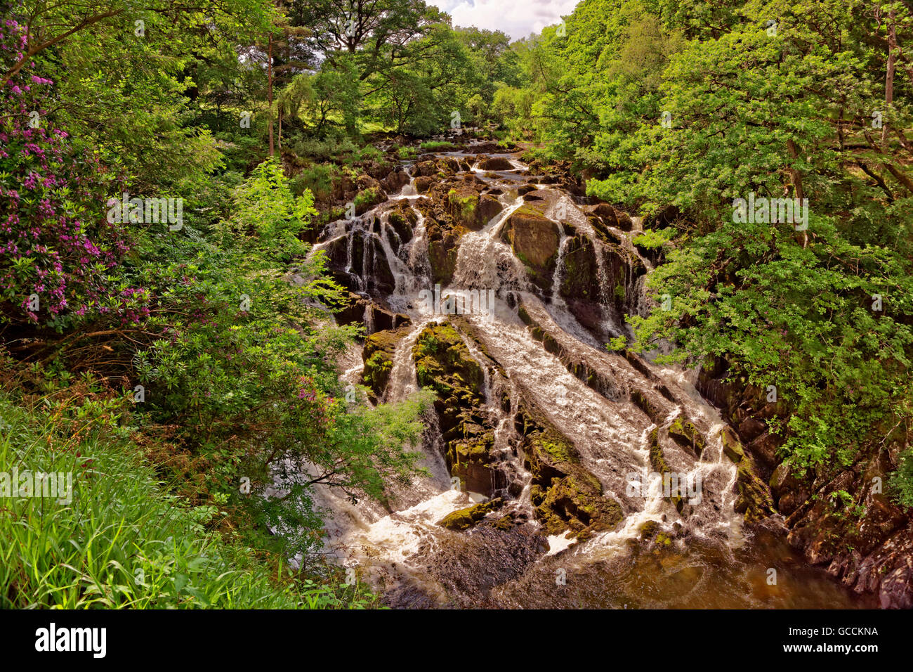 Swallow Falls at Betws-y-Coed, North Wales, UK Stock Photo