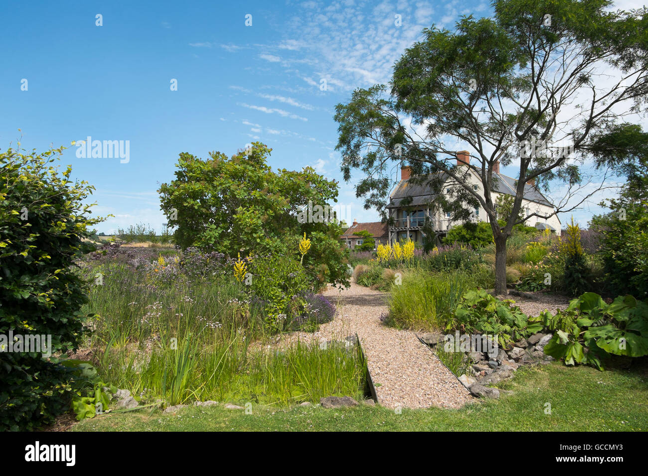 Bridge across the stream to the Gravel Garden at The Yeo Valley Organic ...
