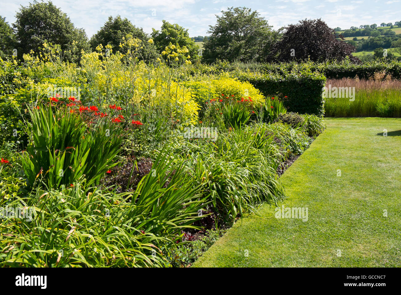 The Red and Lime Beds at The Yeo Valley Organic Garden, Holt Farm, Blagdon, North Somerset, UK Stock Photo