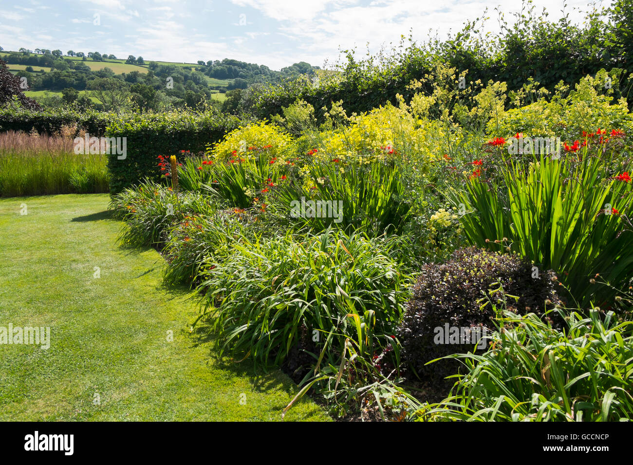 The Red and Lime Beds at The Yeo Valley Organic Garden, Holt Farm, Blagdon, North Somerset, UK Stock Photo
