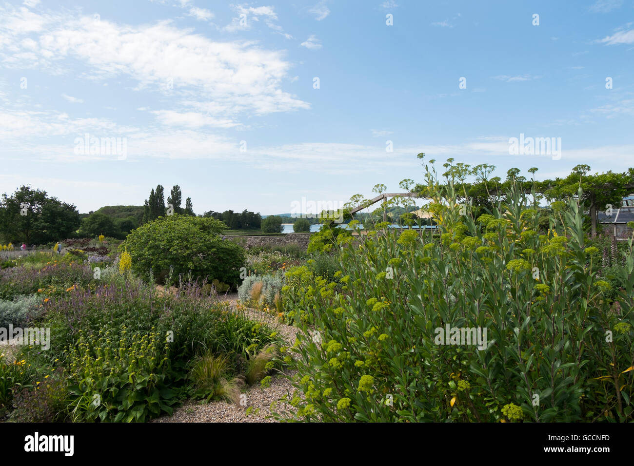The Gravel Garden at The Yeo Valley Organic Garden, Holt Farm, Blagdon