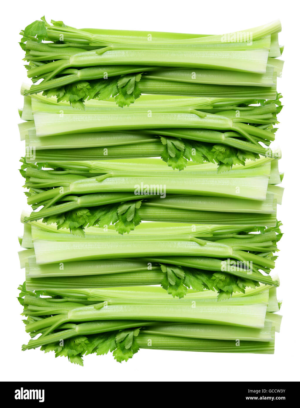 Stack of Celery Stalks Stock Photo