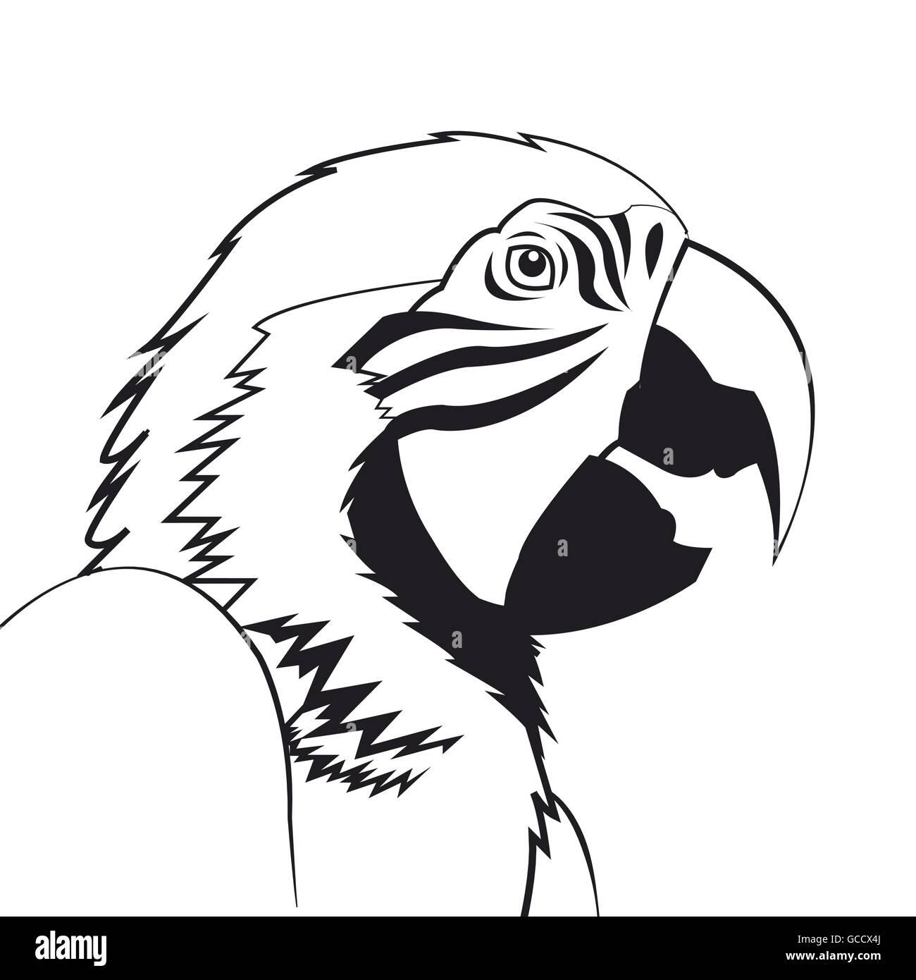 Parrot bird icon. Animal and art design. Vector graphic Stock Vector ...