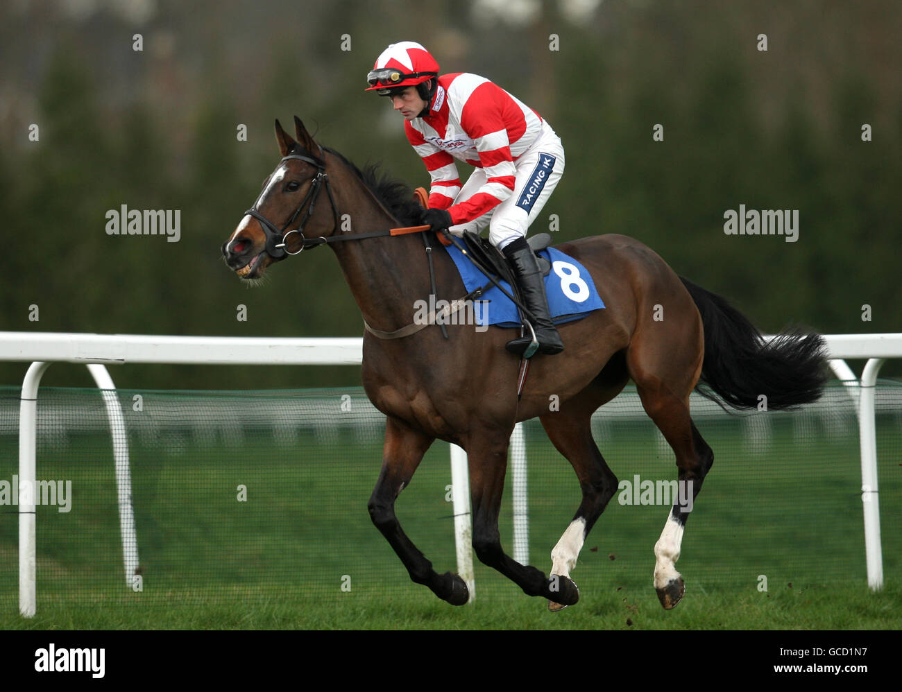 Pendower ridden by jockey Ruby Walsh goes to post before winning the Events Bar Management Maiden Hurdle Race Stock Photo