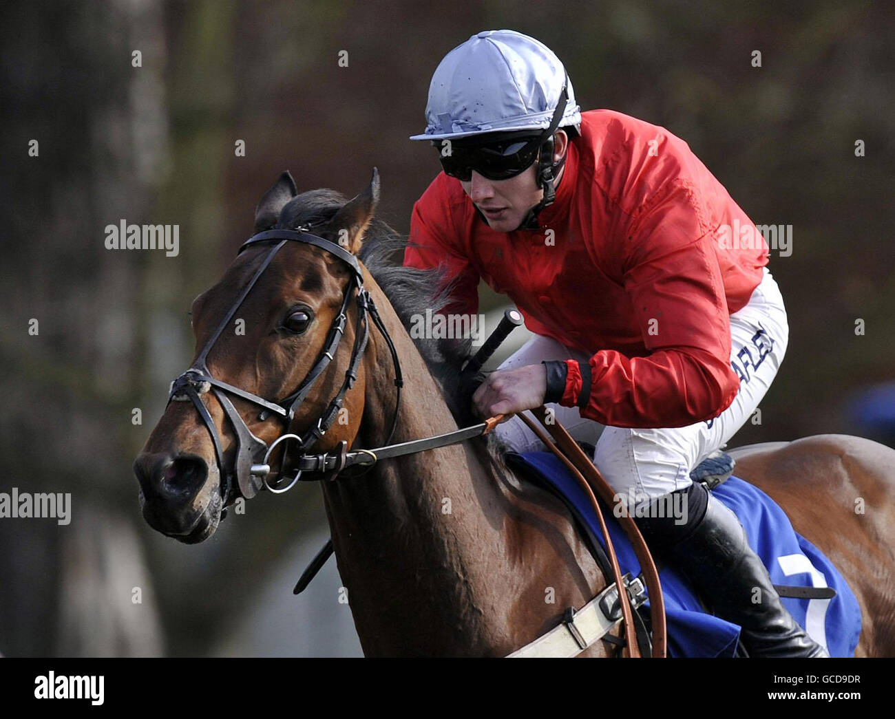 Perfect Reward, ridden by Jamie Moore wins the Yeomans Honda CRV Selling Hurdle during the Family Race Day with TV's Sportacus at Fontwell Racecourse, West Sussex. Stock Photo