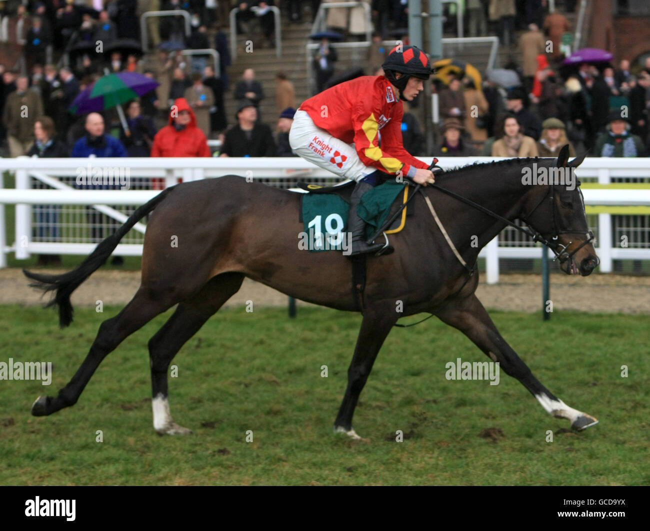 Horse Racing - 2010 Cheltenham Festival - Day Four. Nikola rdden by Mr Sam Twiston-Davies going to post for the Johnny Henderson Grand Annual Chase Challenge Cup Handicap Stock Photo