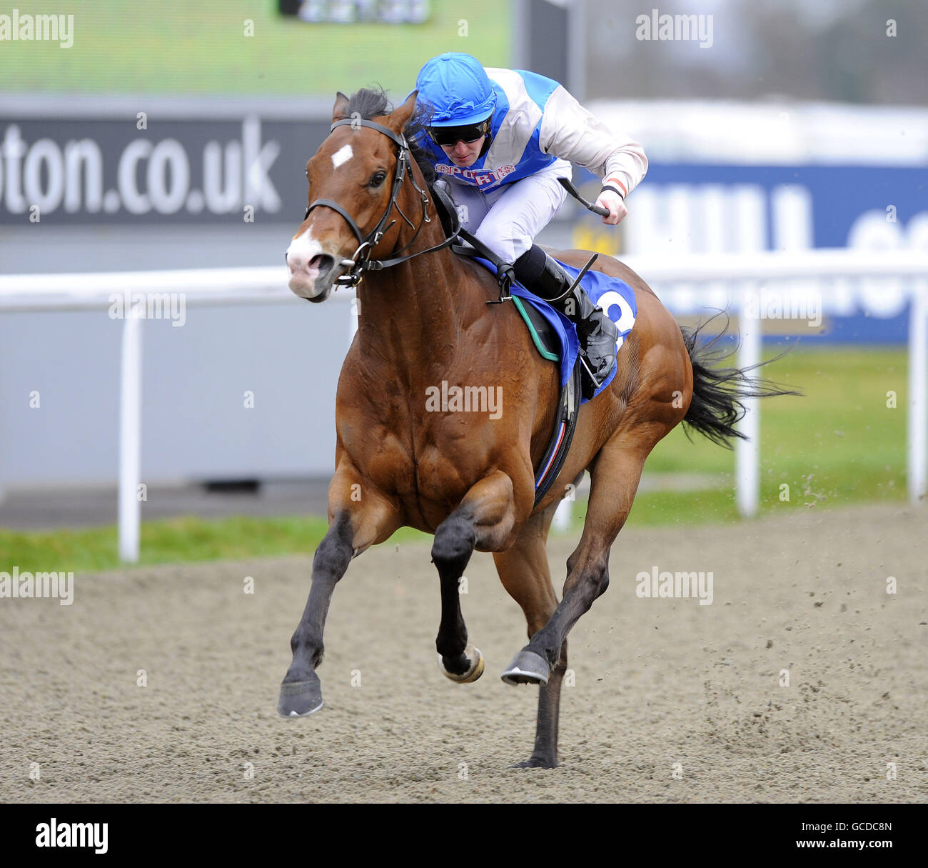 Horse Racing Kempton Park Racecourse Stock Photo Alamy