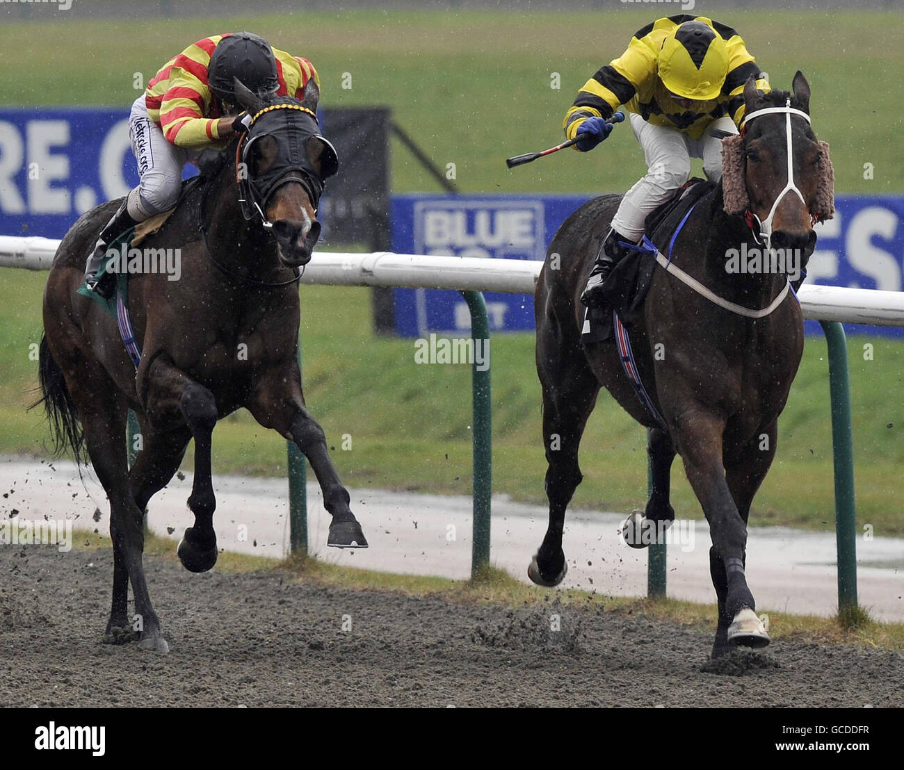 Horse Racing - Lingfield Park Racecourse Stock Photo - Alamy