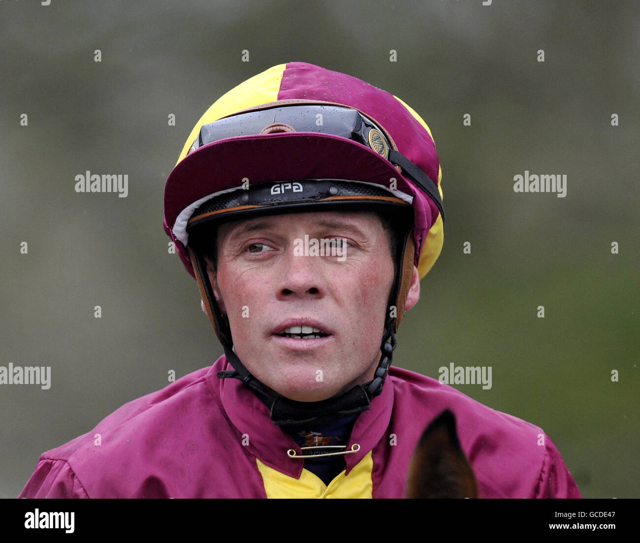 Horse Racing Lingfield Park Racecourse Stock Photo Alamy