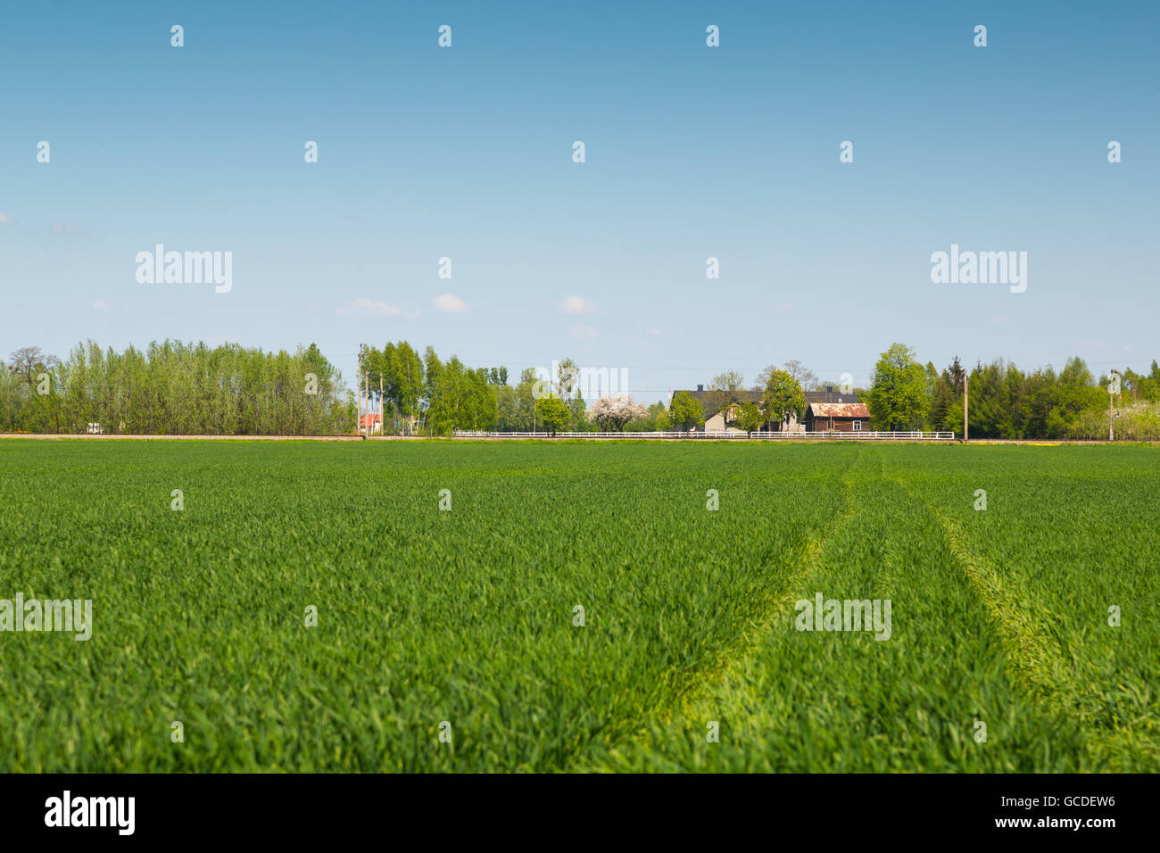 Scenery in the area around Bramki, a village in the administrative ...