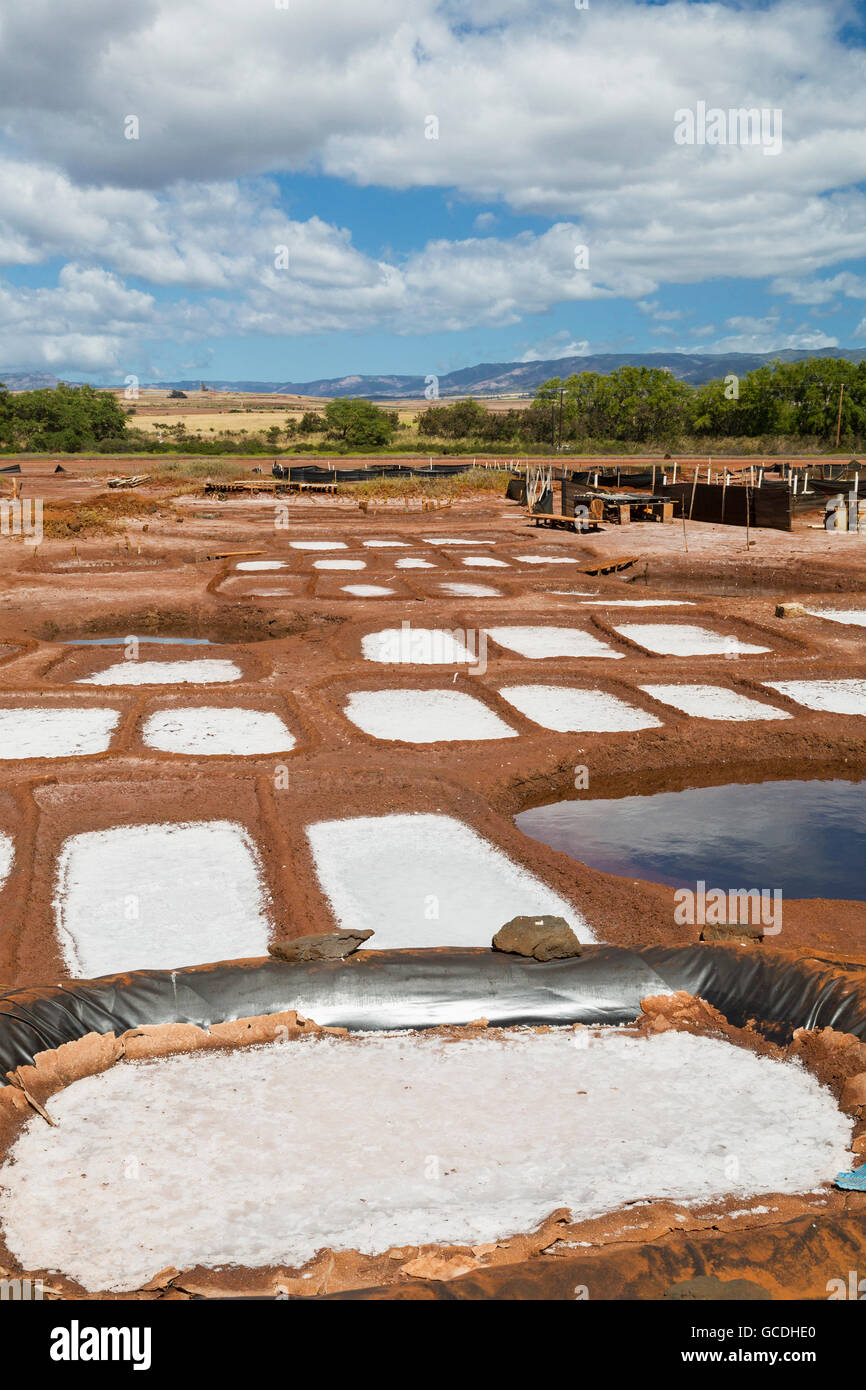 Salt collection ponds near Hanapepe; Kauai, Hawaii, United States of America Stock Photo
