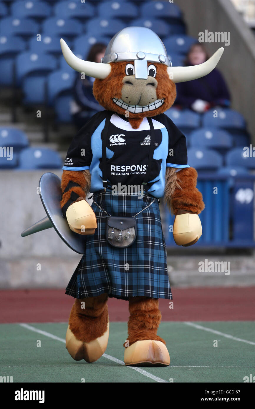Glasgow warriors mascot clyde the highland cow hi-res stock photography ...