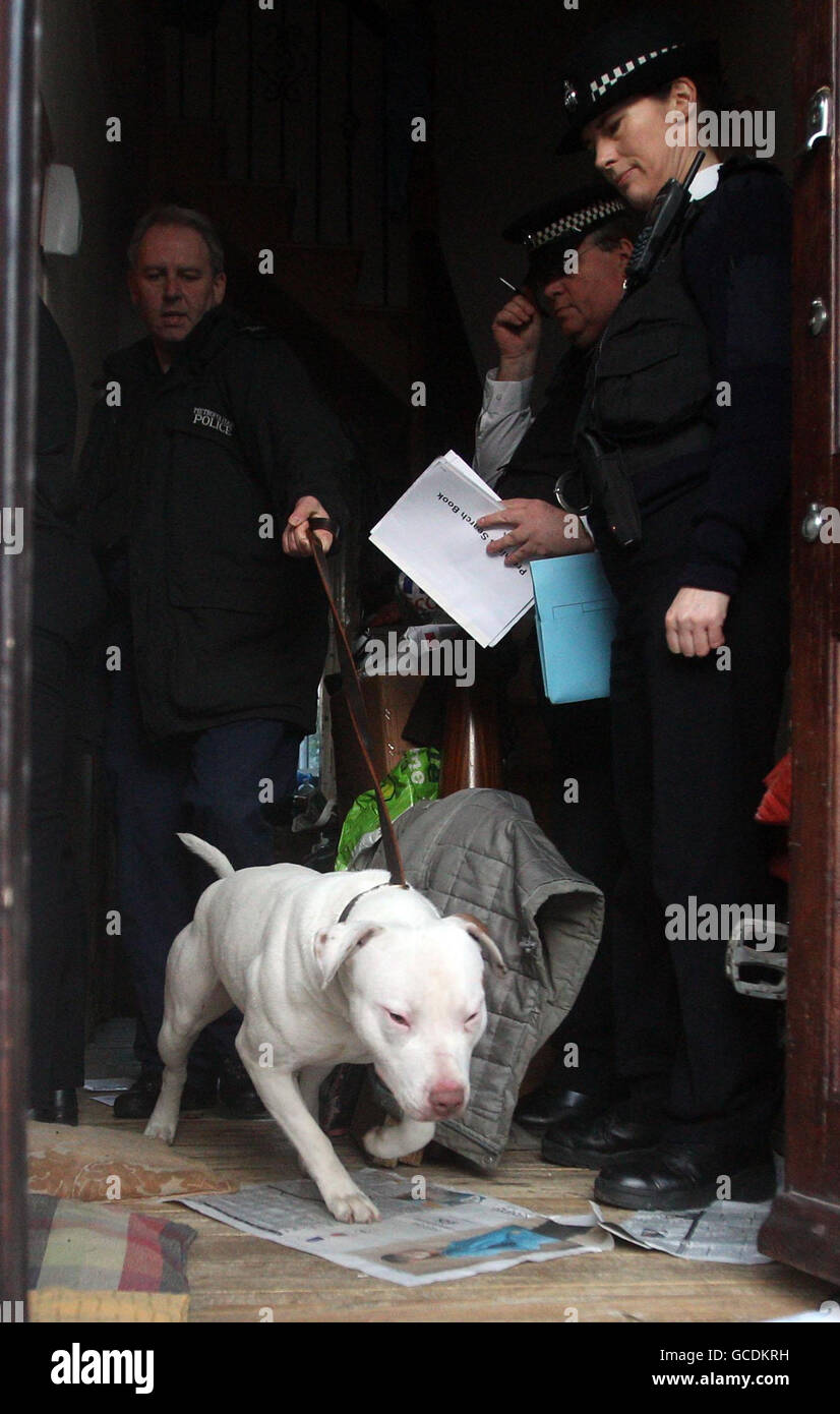 000 dangerous dogs hires stock photography and images Alamy