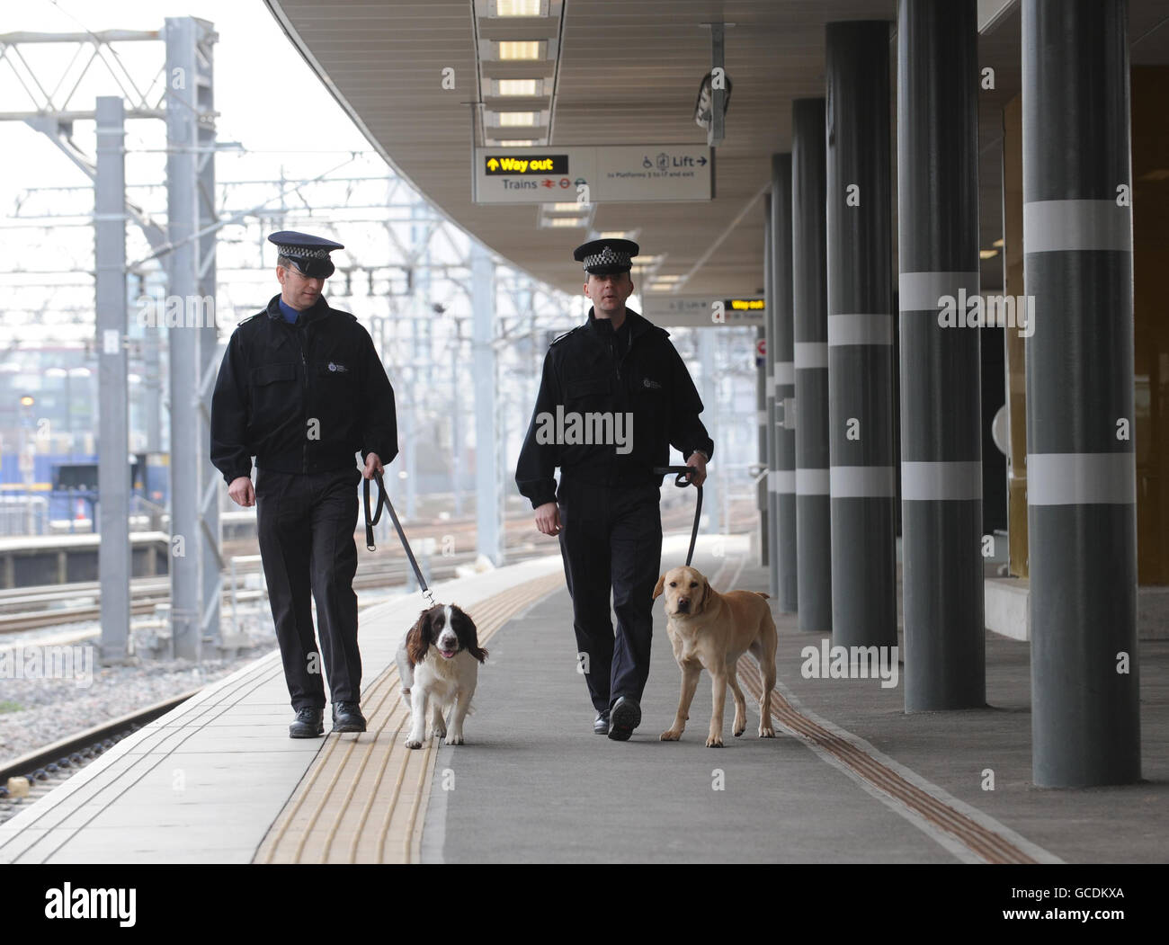 Police officers with explosive sniffer dogs walk along a platform on Stratford Station in east London today to demonstrate how they will be patrolling some of London's key railway stations during the 2012 London Olympics. Stock Photo
