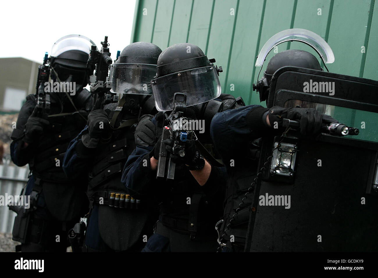Irish Army Ranger Wing 30th anniversary Stock Photo Alamy