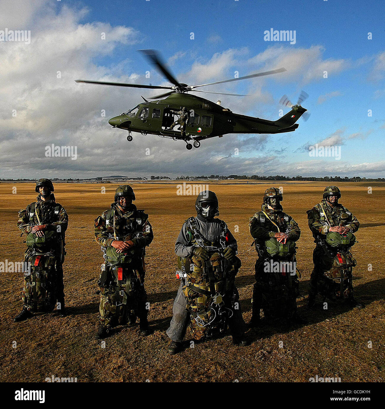 Irish Army Ranger Wing 30th anniversary Stock Photo 110939125 Alamy
