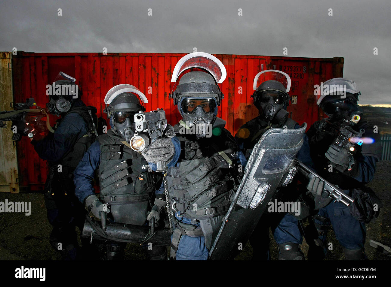 Irish Army Ranger Wing 30th anniversary Stock Photo Alamy