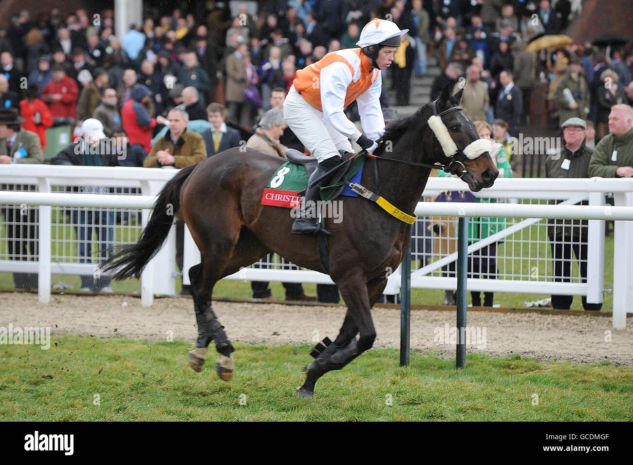Dusty Doolan ridden by Mr S C Byrne goes to post for the Christie's Foxhunter Chase Challenge Cup. Stock Photo