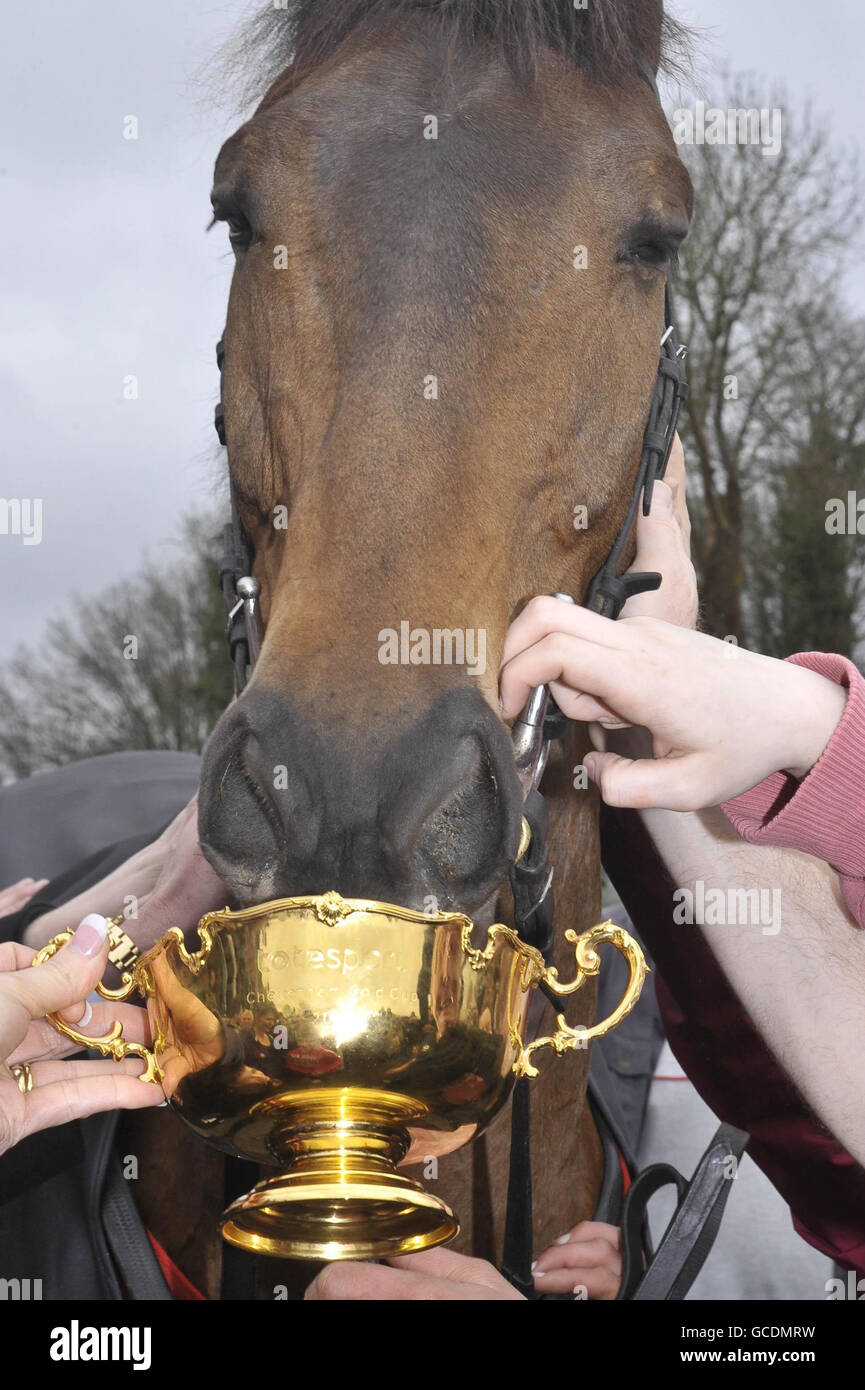 Horse Racing Gold Cup Victory Parade Hollow Bottom Pub Stock Photo
