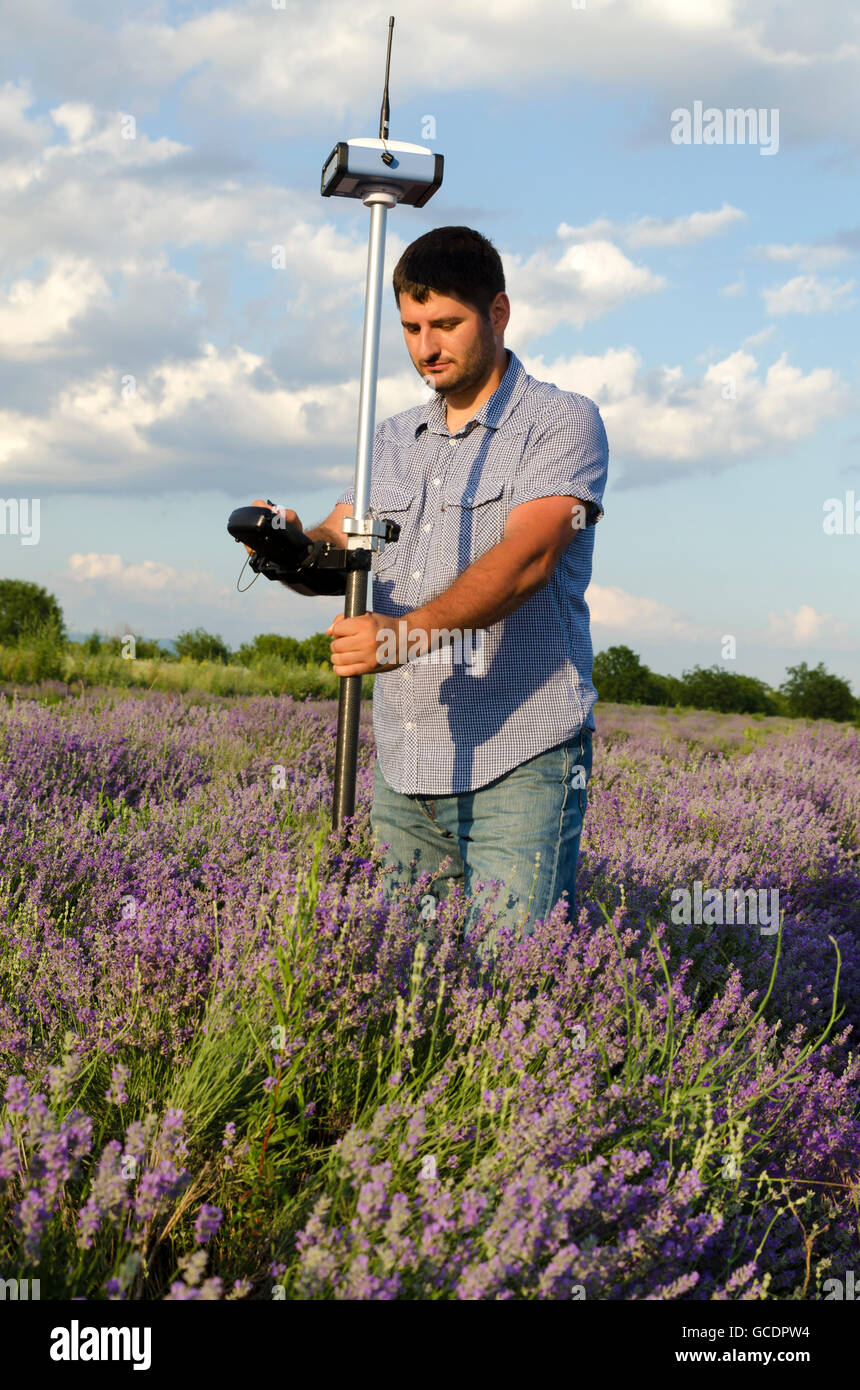Land surveying in a lavender field Stock Photo