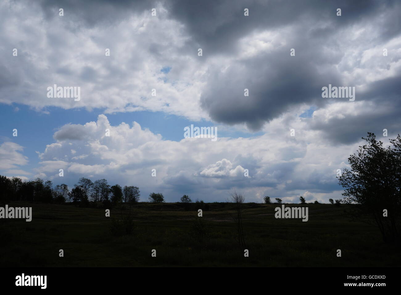 landscape with mountains trees and a river in front Stock Photo - Alamy