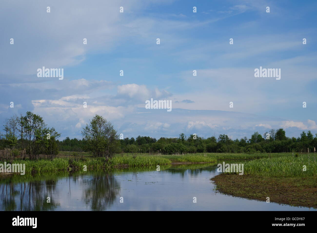 landscape with mountains trees and a river in front Stock Photo - Alamy