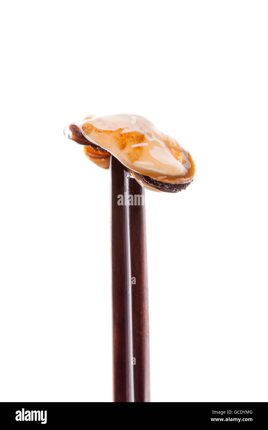 Mussel on chopsticks isolated on white background. Luxurious seafood