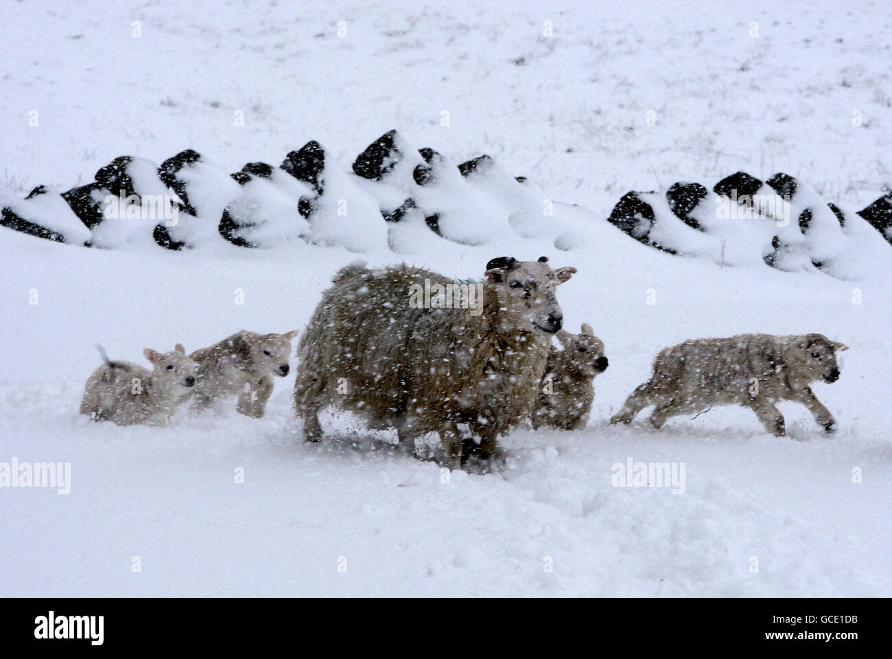After a night of heavy snow hi-res stock photography and images - Alamy
