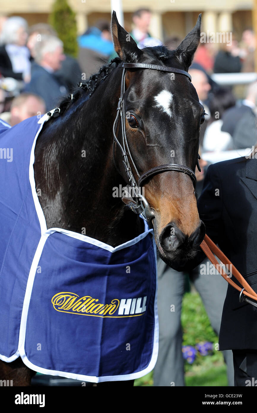 Horse Racing - The Lincoln Meeting - Doncaster Racecourse. Irish Heartbeat after winning the William Hill Spring Mile Stock Photo