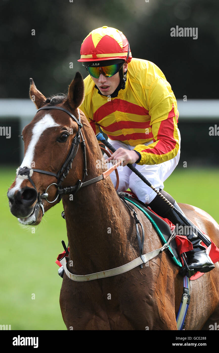 Jockey andrew elliott on fifty moore after the maiden hires stock