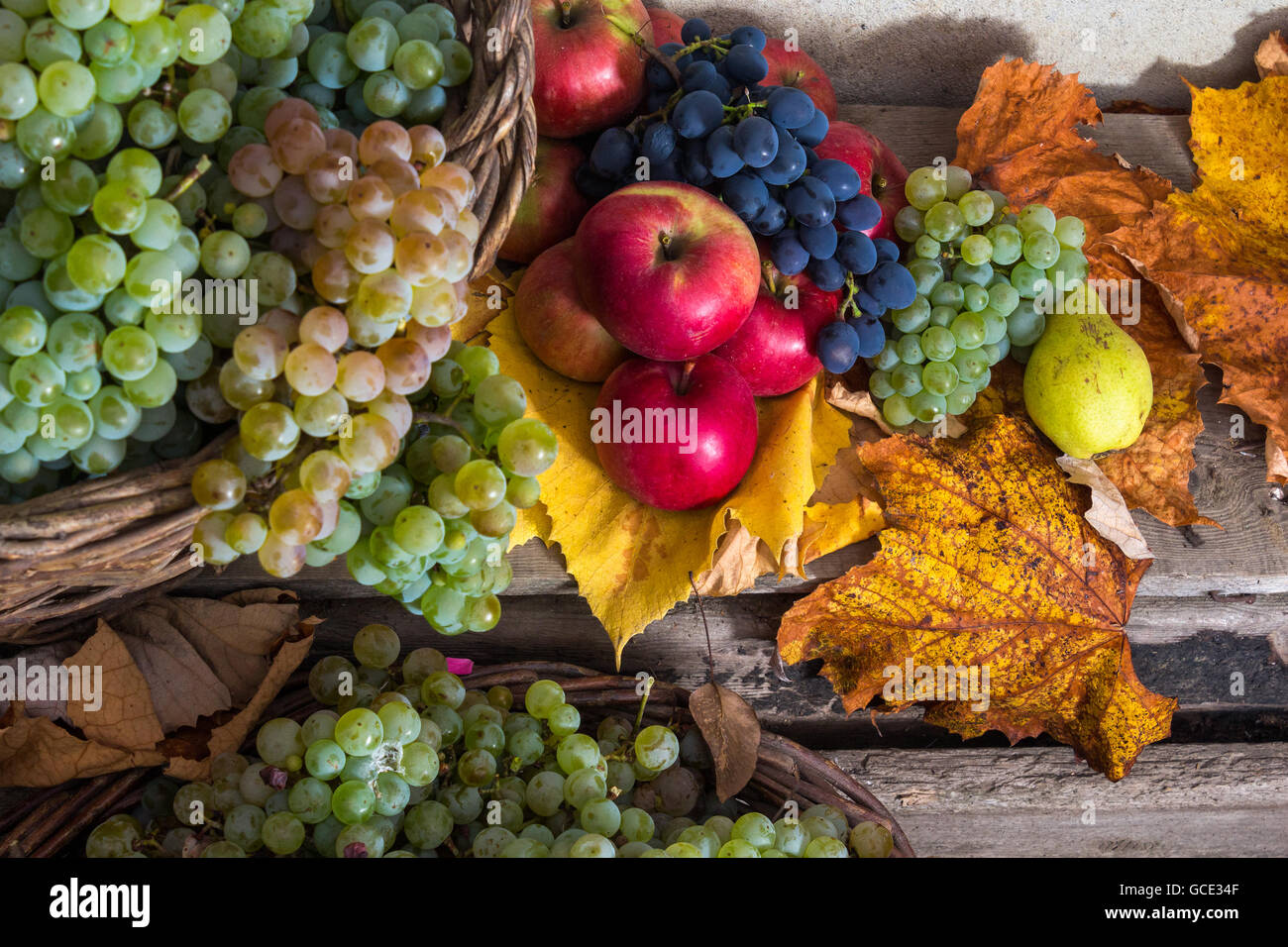 autumnal fruit still life with apples, quince, grapes and leaves on old wall background Stock Photo