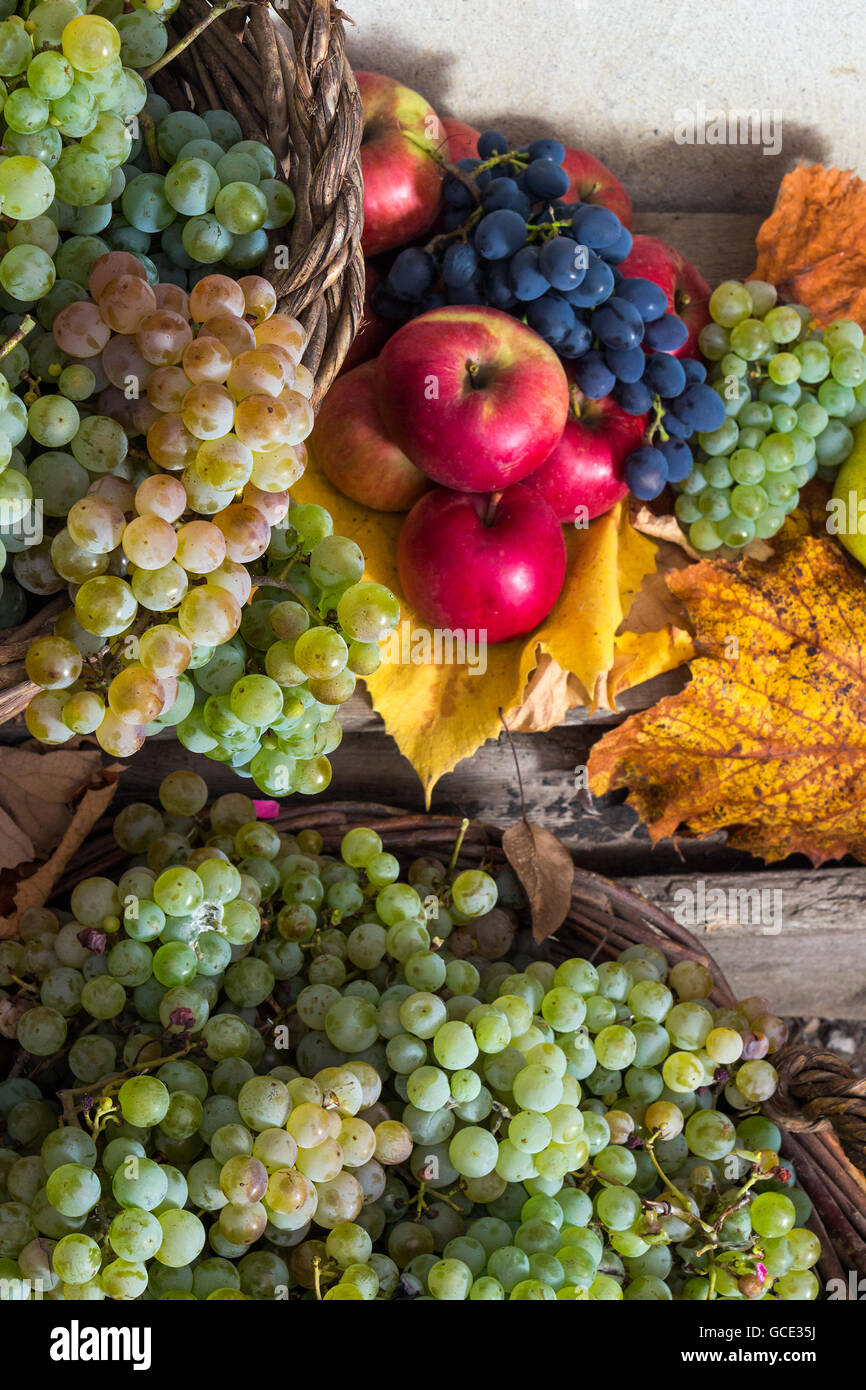autumnal fruit still life with apples, quince, grapes and leaves on old wall background Stock Photo