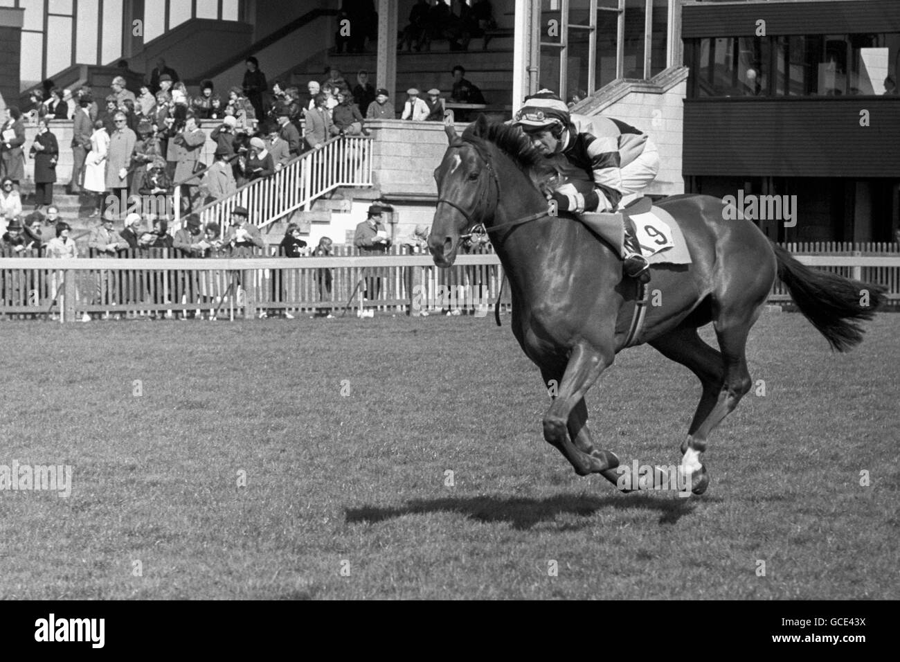 Horse Racing Newmarket Races. In Haste, with Eddie Hide up at