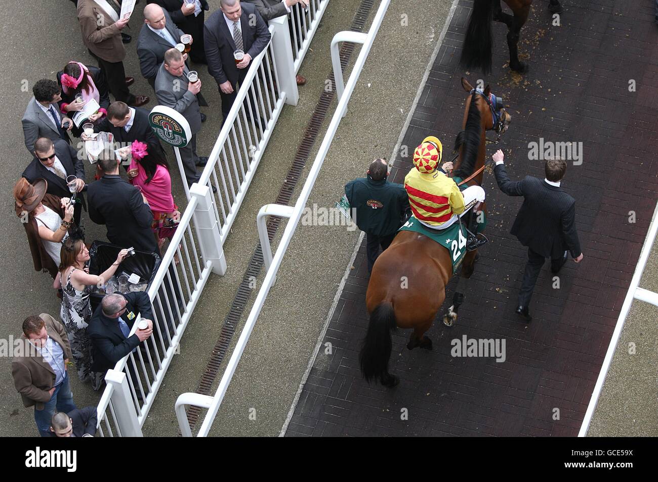Commemoration Day ridden by jockey Philip Hide in the parade ring prior to the John Smith's Topham Chase Stock Photo