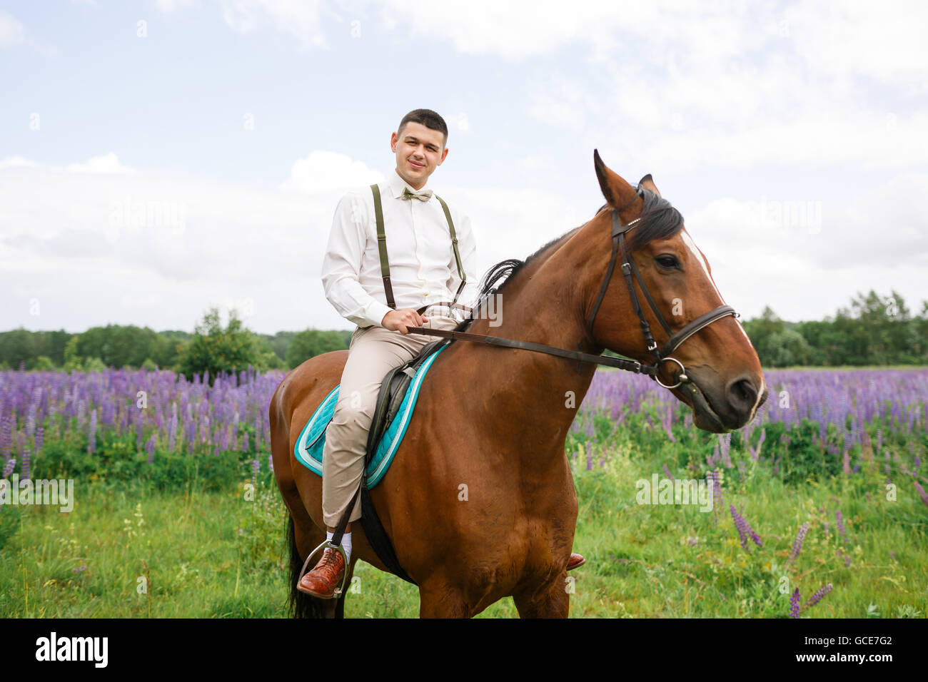 The groom riding on horseback across a field of lupine Stock Photo