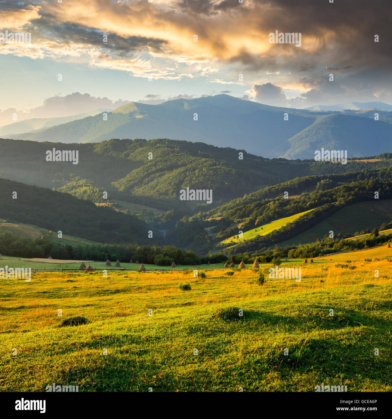 Stacks of hay on a green meadow on hillside in mountains Stock Photo ...