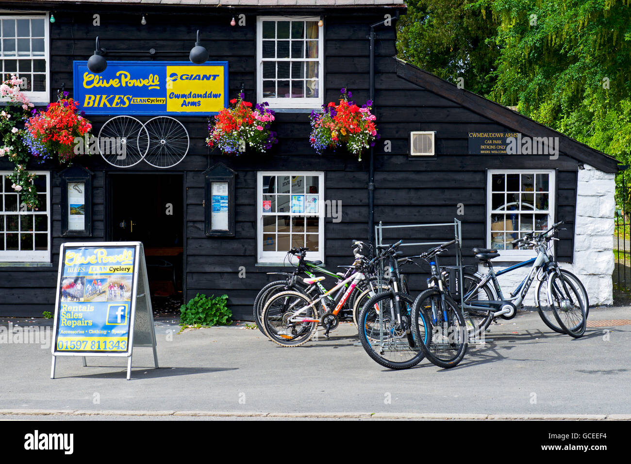 Selling bicycles hi res stock photography and images Alamy