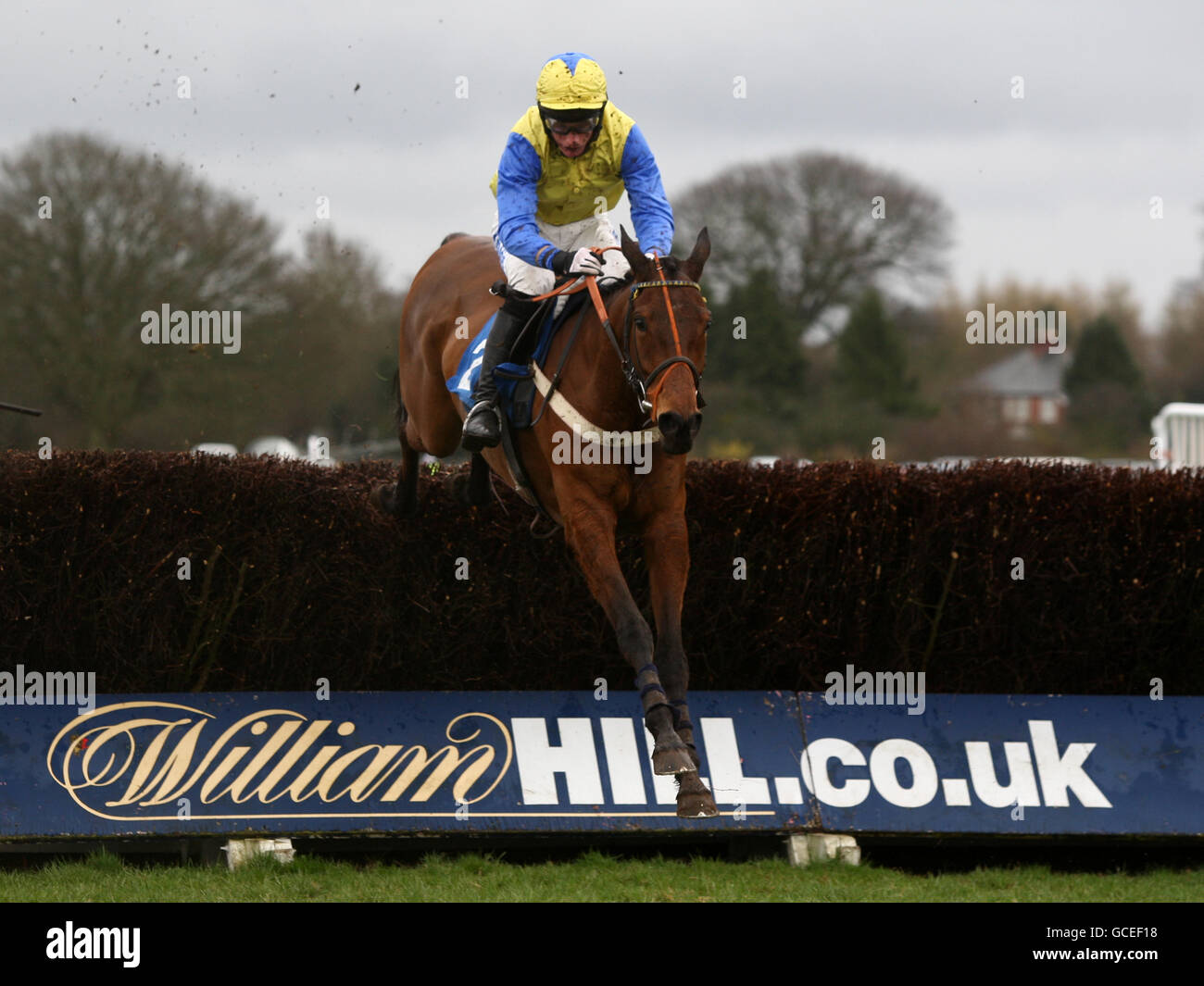 Horse Racing - Ludlow Racecourse Stock Photo - Alamy