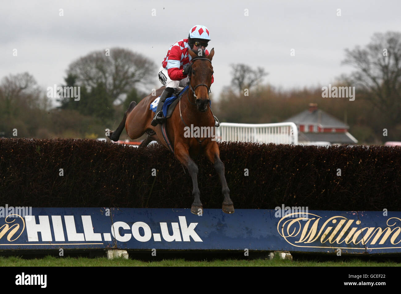 Horse Racing - Ludlow Racecourse Stock Photo - Alamy