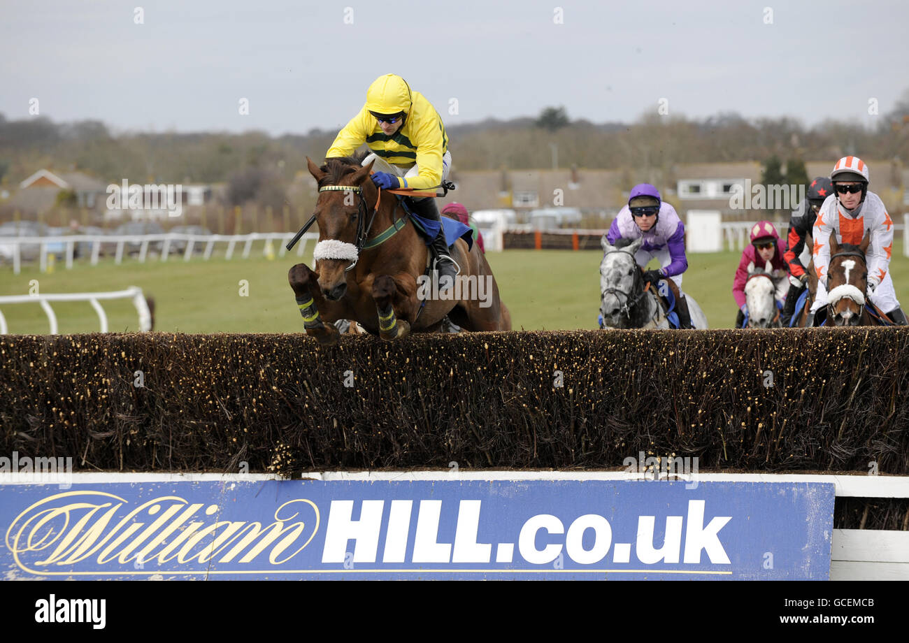 She's Humble, ridden by Andrew Thornton during The At The Races Novices' Handicap Steeple Chase during the At The Races Raceday at Plumpton Racecourse, East Susse Stock Photo