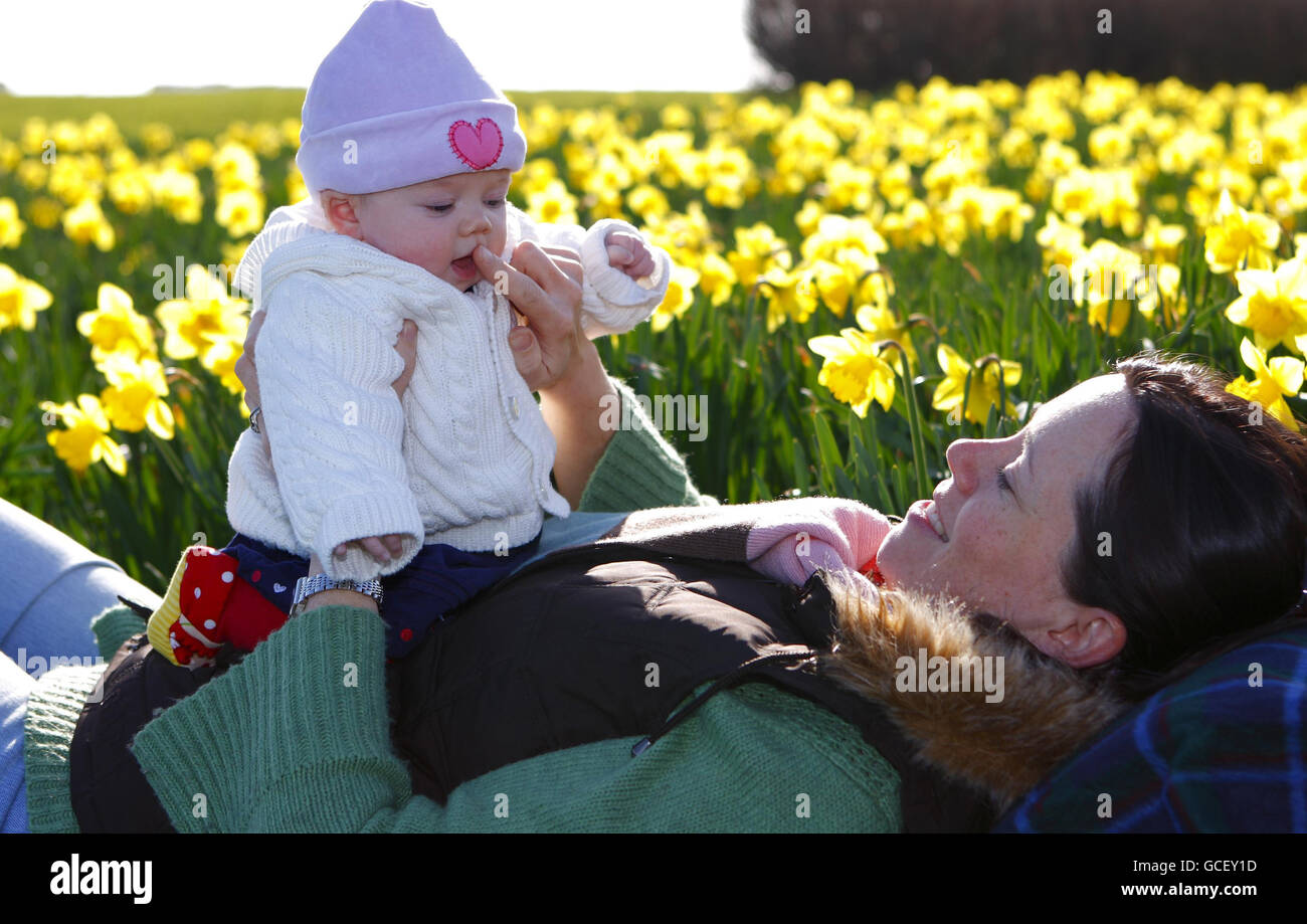 Three-month-old Cecily Dargan enjoys her first Easter with her mother Helen sitting with her amongst the daffodils on the seafront in Worthing, West Sussex on Easter Bank Holiday Monday. Stock Photo