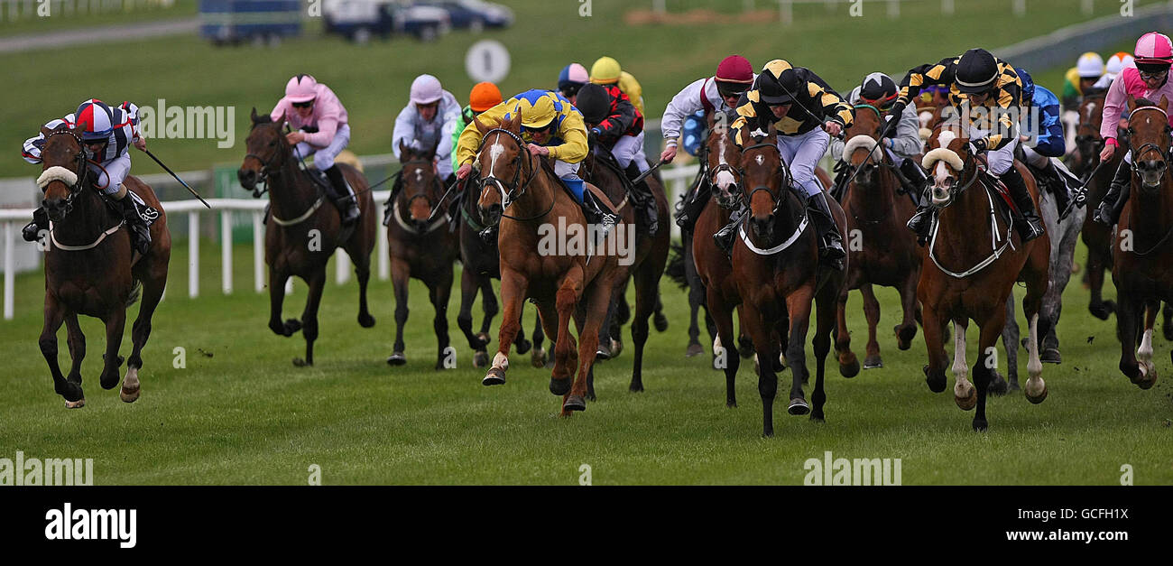 Horse Racing Curragh Racecourse Stock Photo Alamy