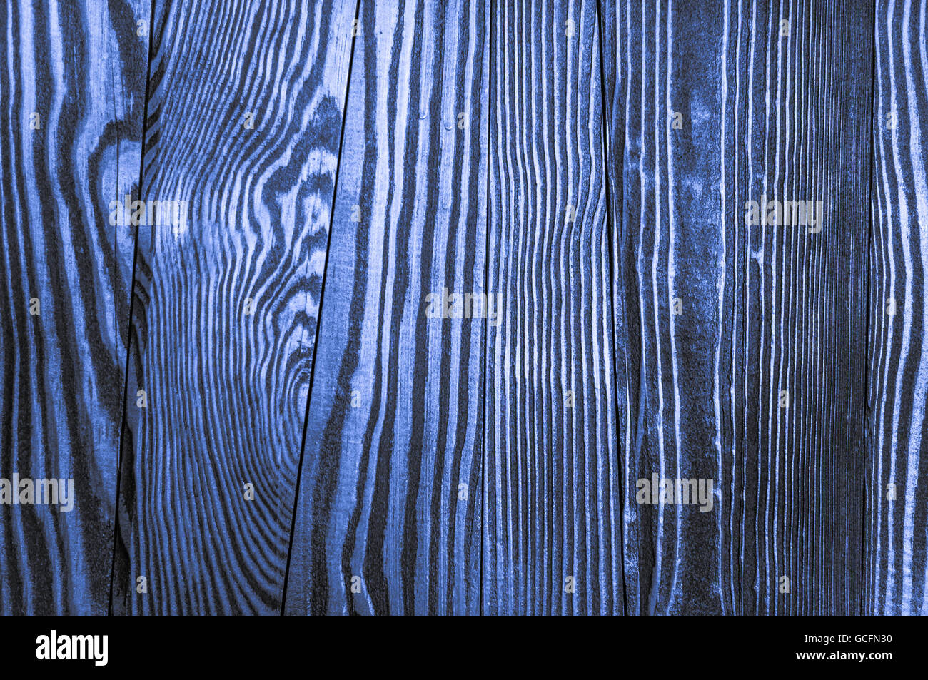 Perfect blue light grayish bluish indigo irregular old and rough wood timber surface texture background Stock Photo