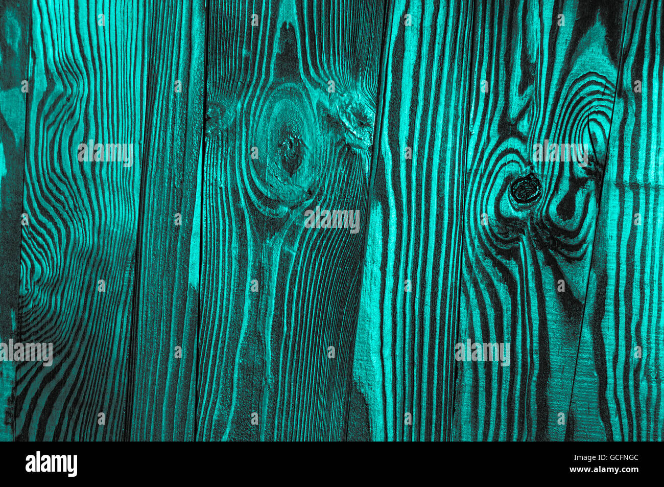 Perfect turquoise grayish gray scale irregular old dark bright wood timber surface texture background Stock Photo