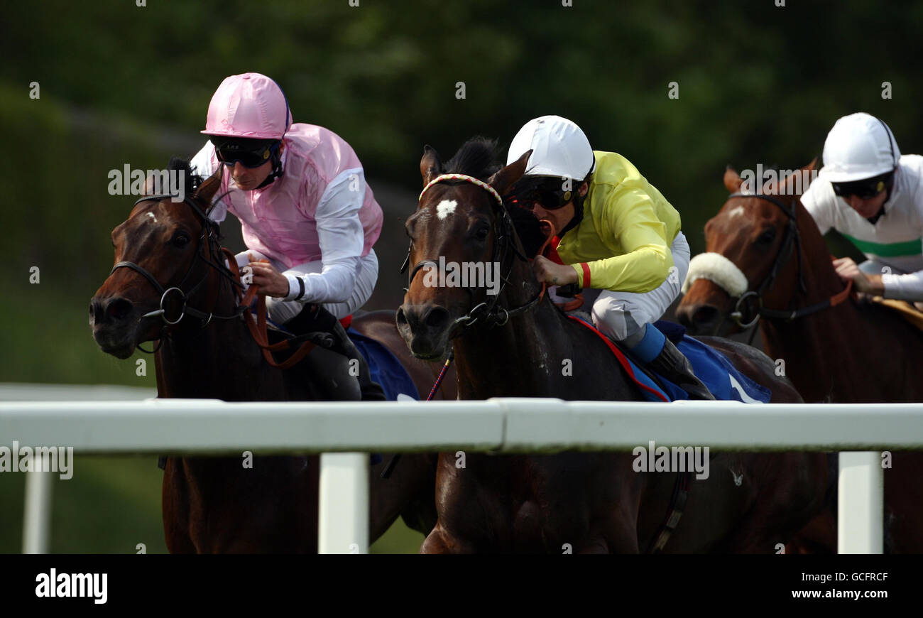 Horse racing ladies day chepstow racecourse hires stock photography