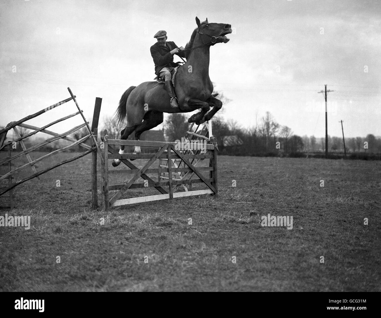 Equestrian - Essex Hunter Trials - Parklands Farm, Galleywood, Chelmsford Stock Photo