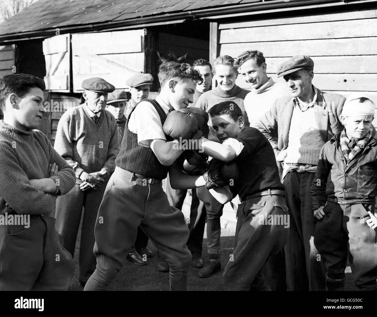 Stable boys boxing 1949. M. Haynes (left) and C. Taylor who have both won  several medals and trophies for boxing take in some training at Treadwell  House Stock Photo - Alamy