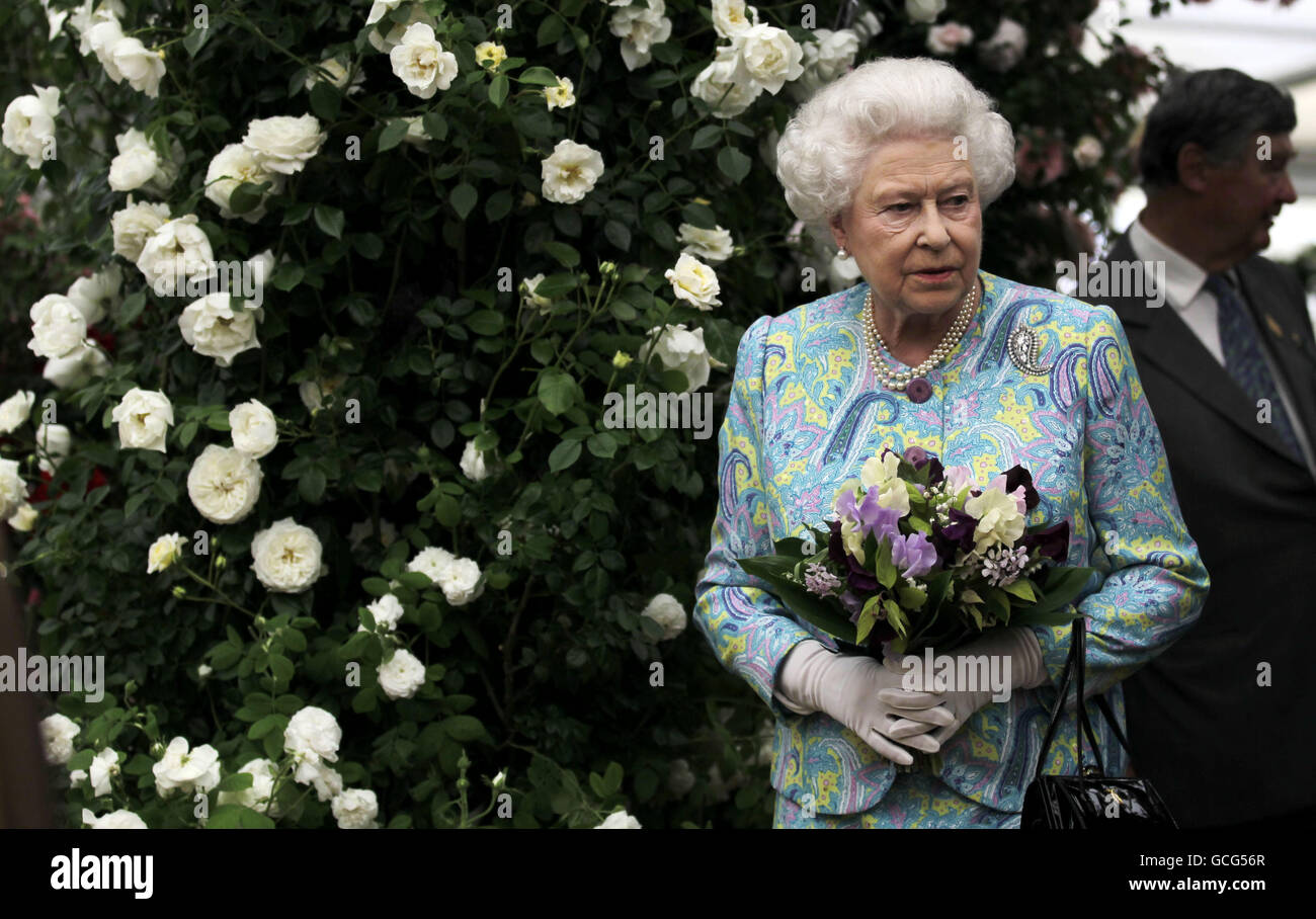 сад королевы елизаветы. эустома однолетник. выращивание королева. эустома садовая. желтушник лакфиоль черри.