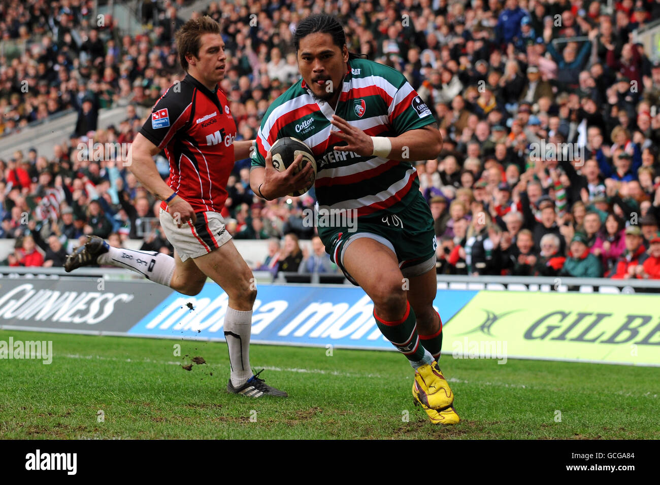 Leicester tigers alesana tuilagi crosses the line to score try hi-res stock photography and images